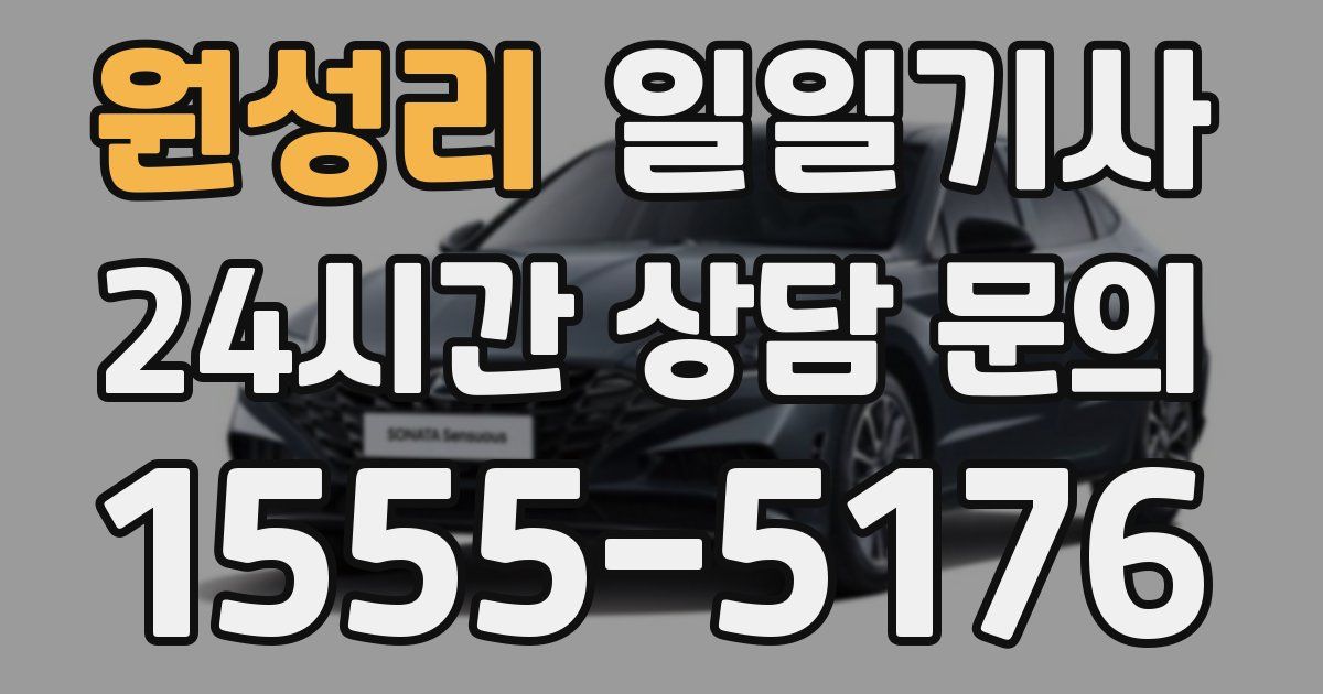 일일대리기사