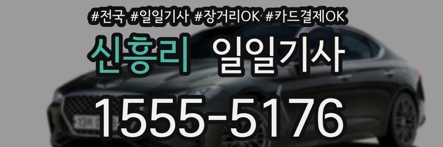신흥리 일일기사