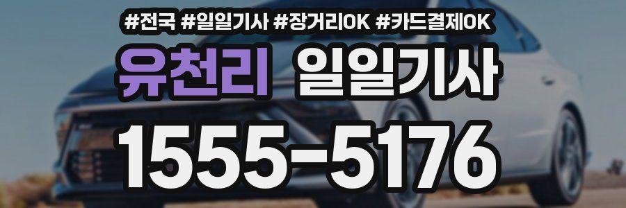 유천리 일일기사