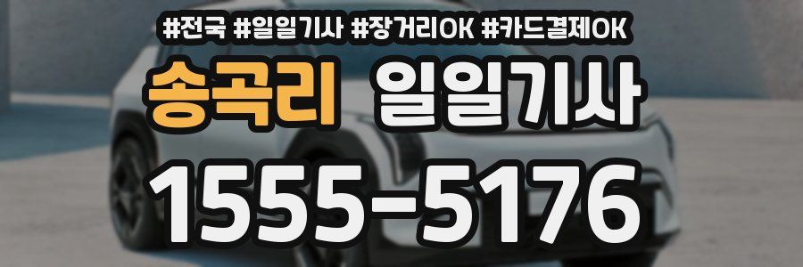 송곡리 일일기사