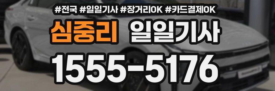 심중리 일일기사