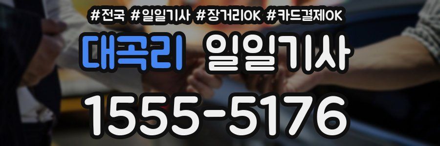 대곡리 일일기사