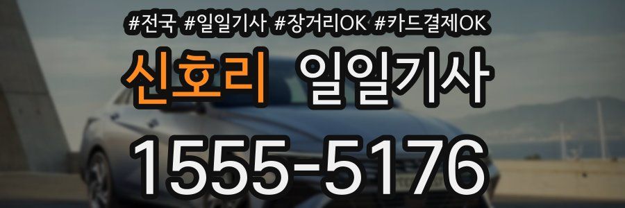 신호리 일일기사