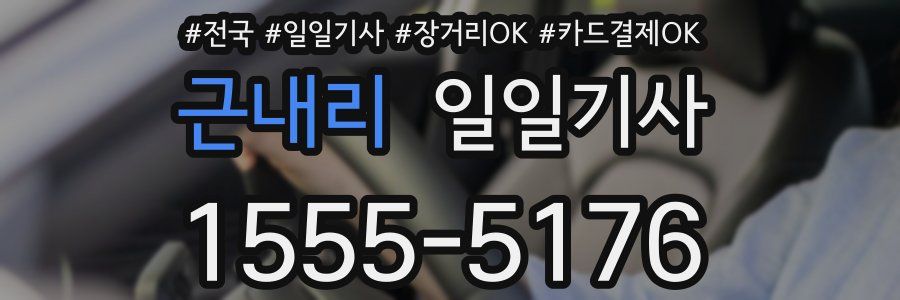 근내리 일일기사