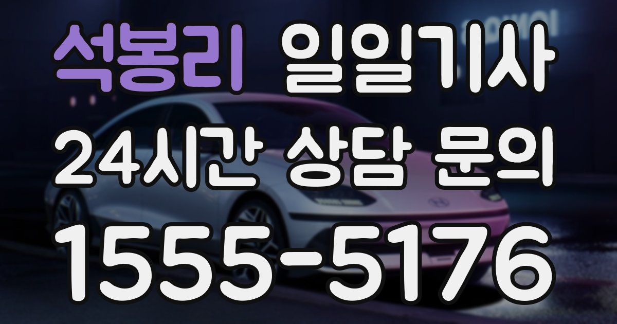 일일대리기사