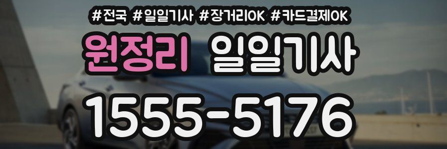 원정리 일일기사