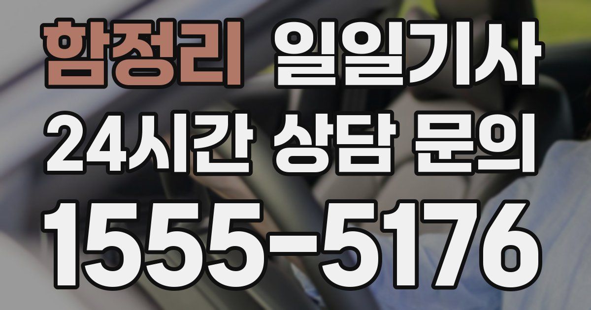 일일대리기사