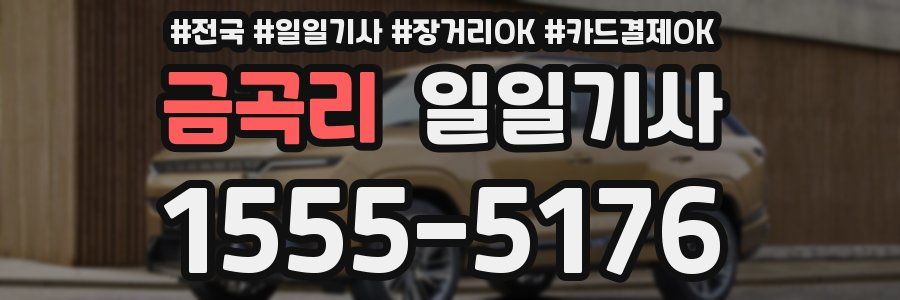 금곡리 일일기사