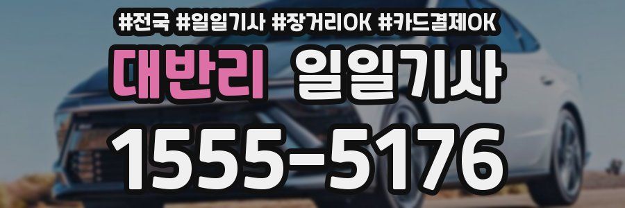 대반리 일일기사