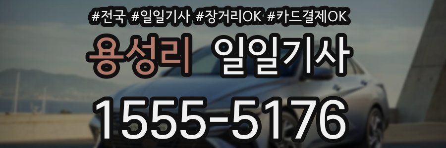 용성리 일일기사