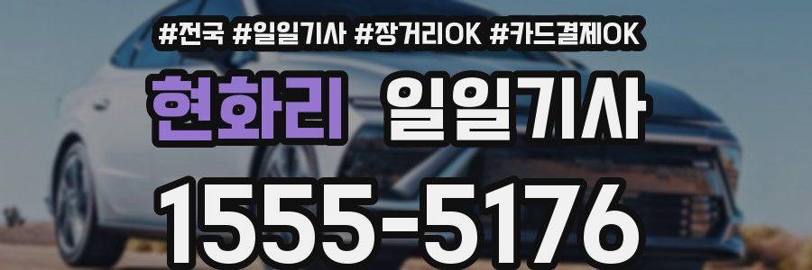 현화리 일일기사