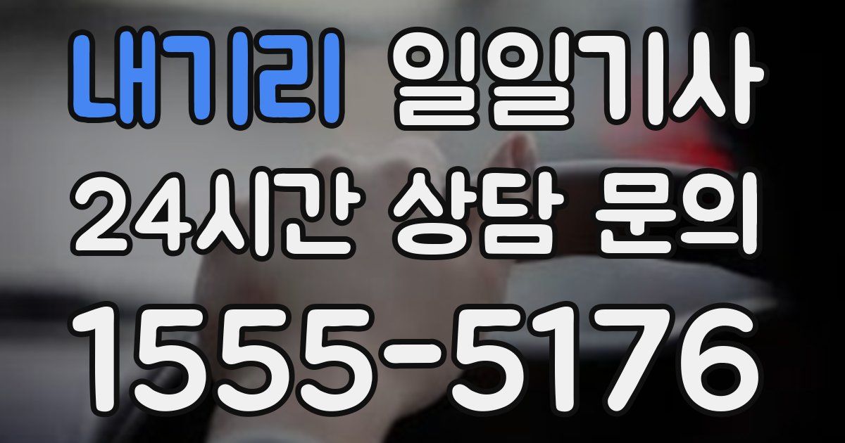 일일대리기사