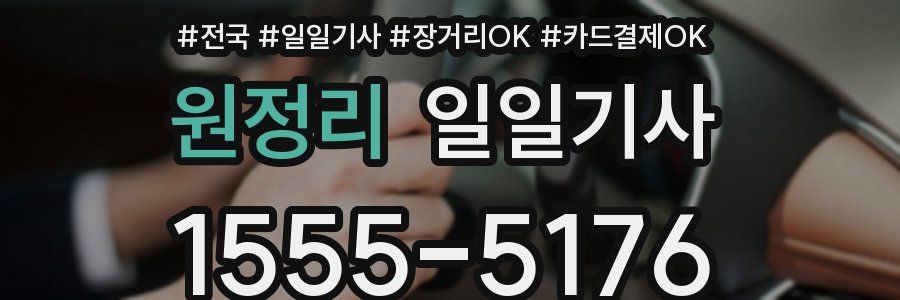 원정리 일일기사