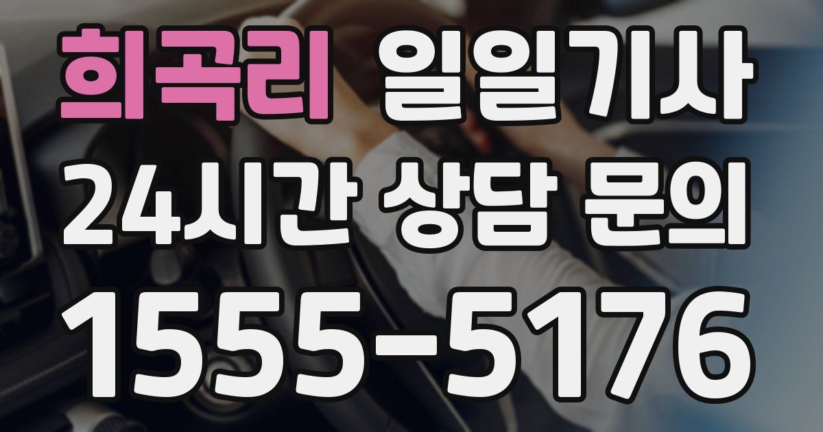 일일대리기사