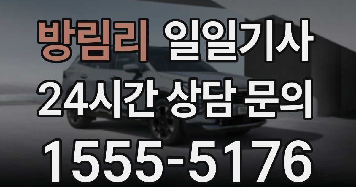 일일대리기사
