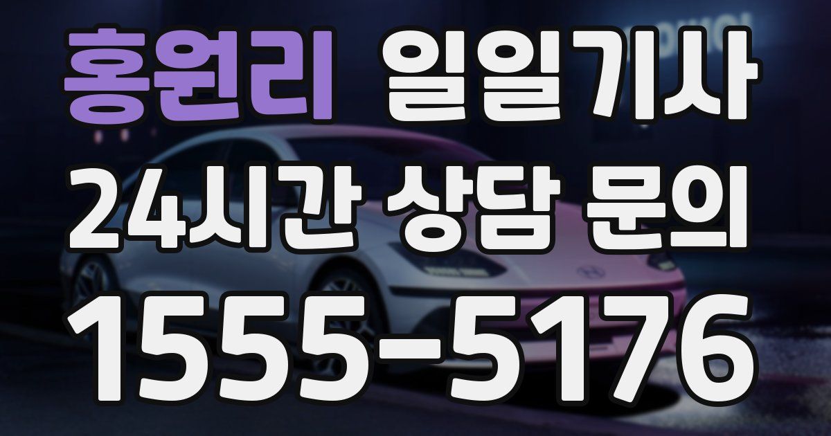 일일대리기사