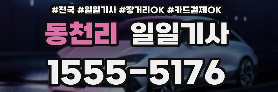 동천리 일일기사