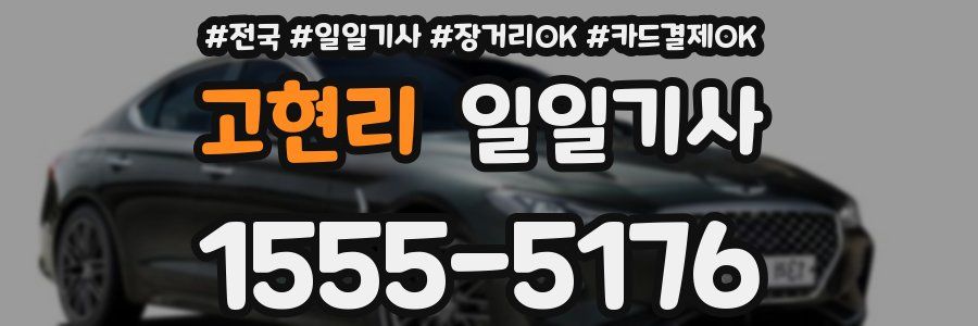 고현리 일일기사