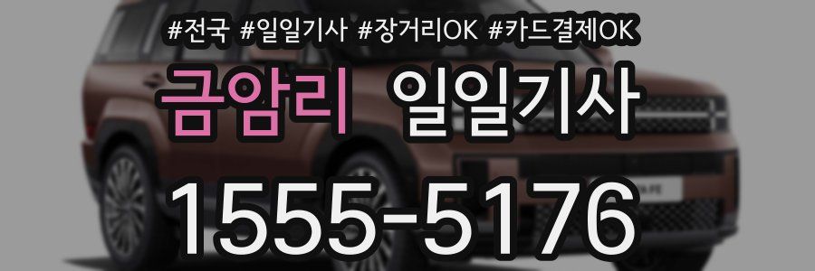 금암리 일일기사