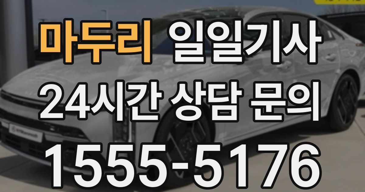 일일대리기사