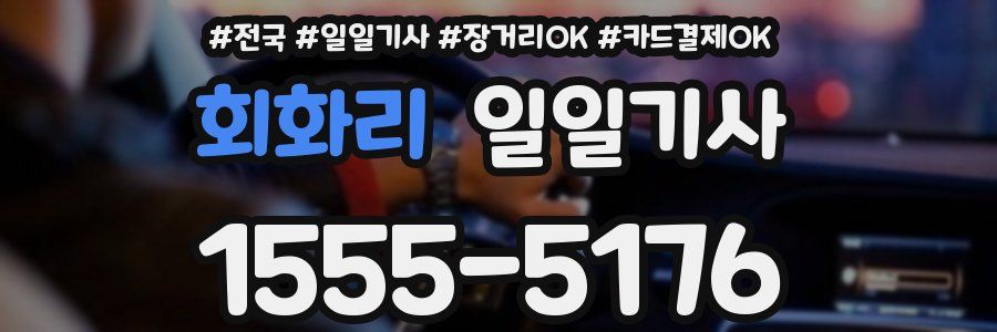 회화리 일일기사