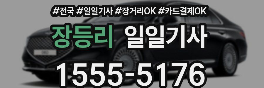 장등리 일일기사