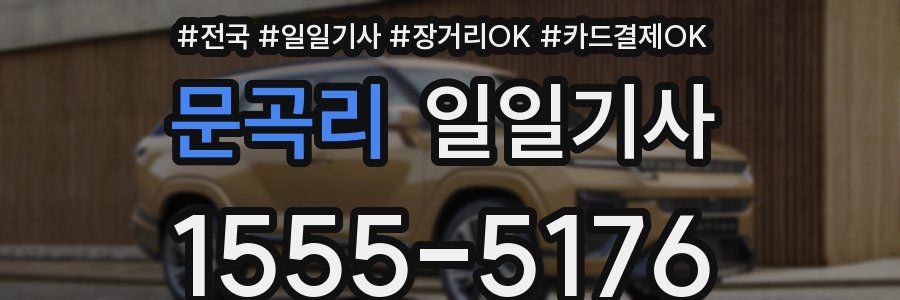 문곡리 일일기사