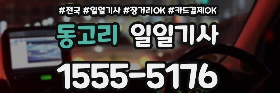 동고리 일일기사