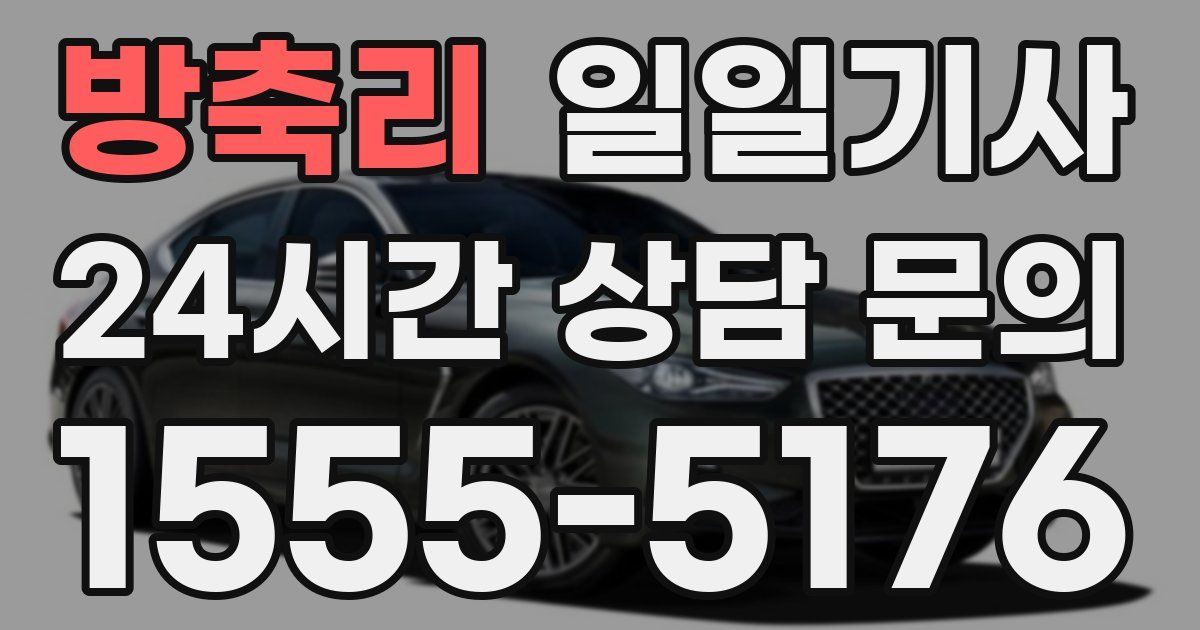 일일대리기사