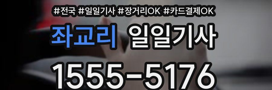 좌교리 일일기사