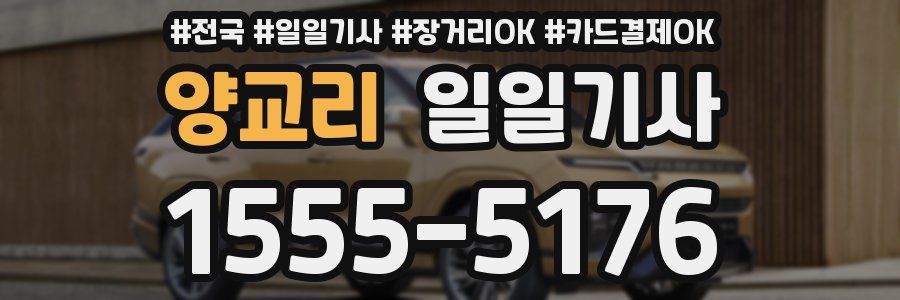 양교리 일일기사