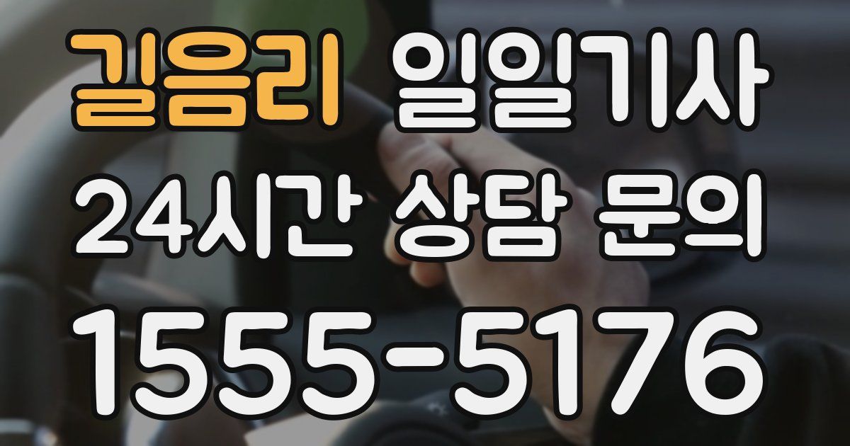 일일대리기사