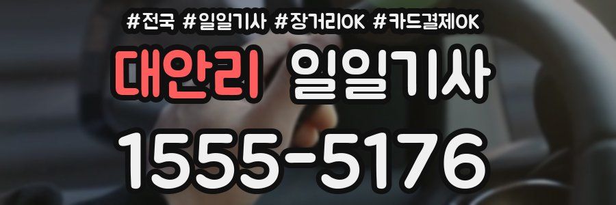 대안리 일일기사