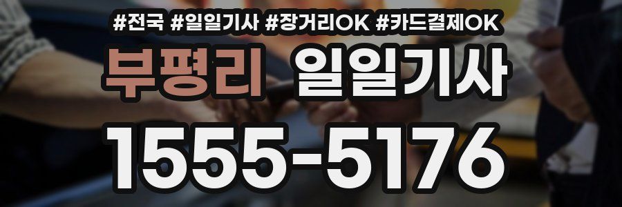 부평리 일일기사