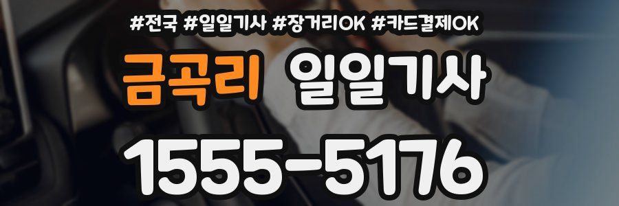 금곡리 일일기사