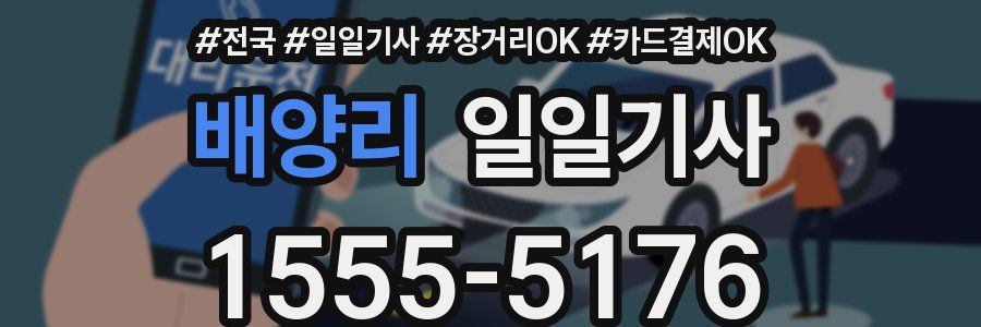 배양리 일일기사