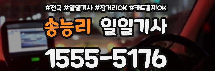 송능리 일일기사