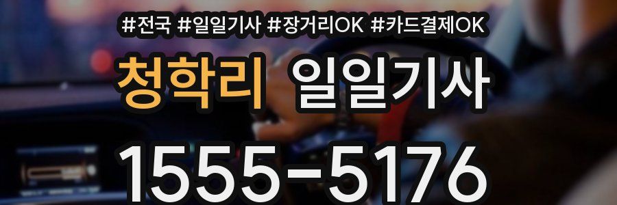 청학리 일일기사