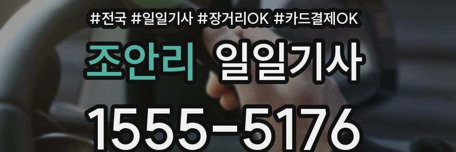 조안리 일일기사