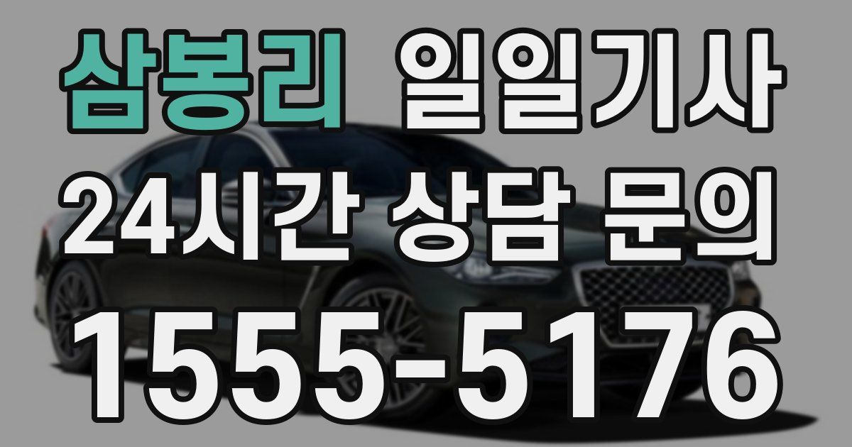 일일대리기사