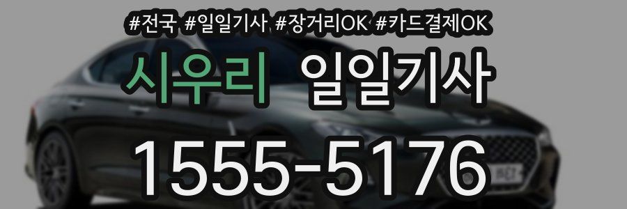 시우리 일일기사