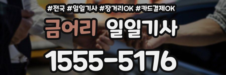 금어리 일일기사