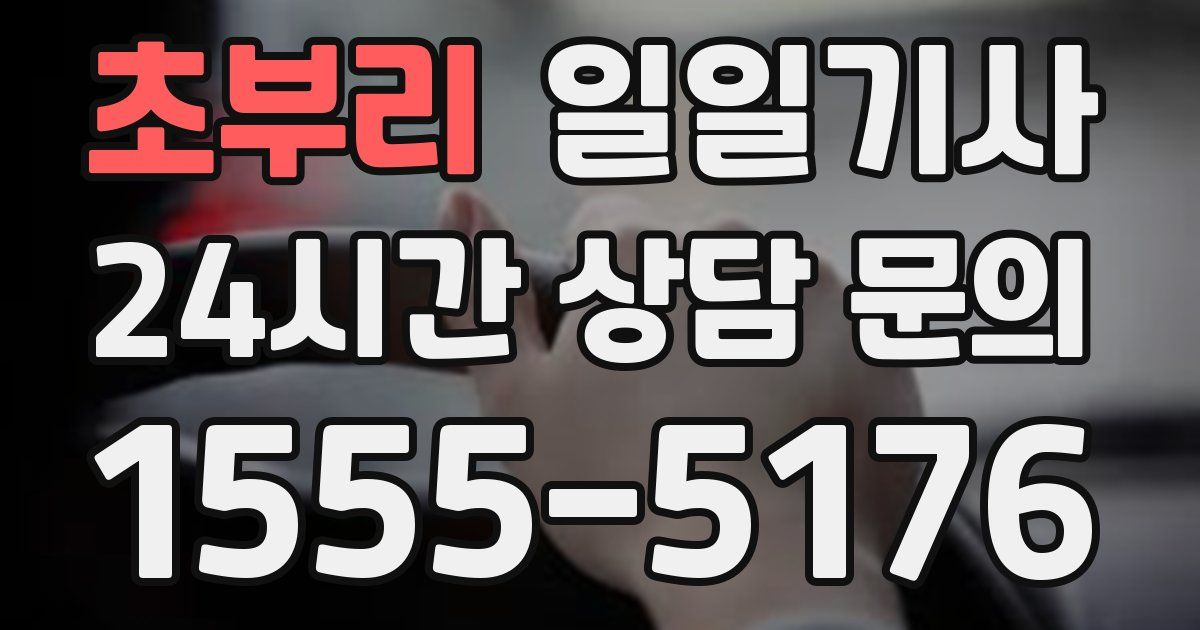 일일대리기사