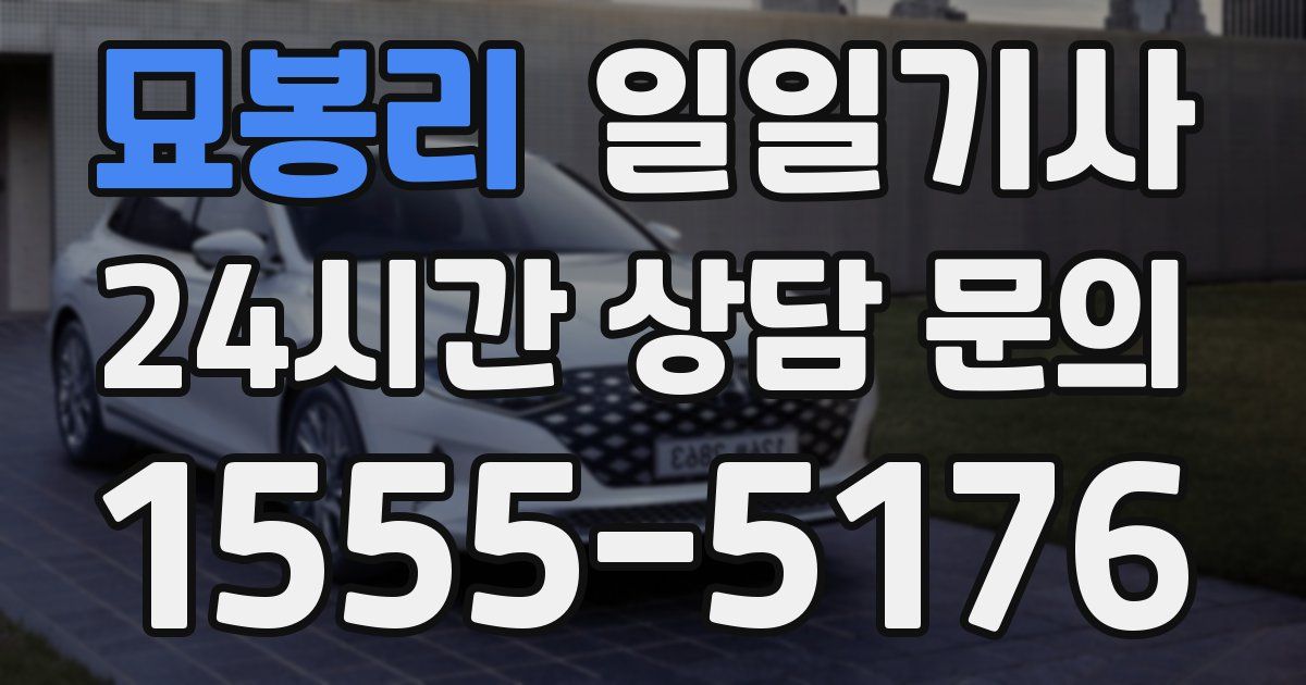 일일대리기사
