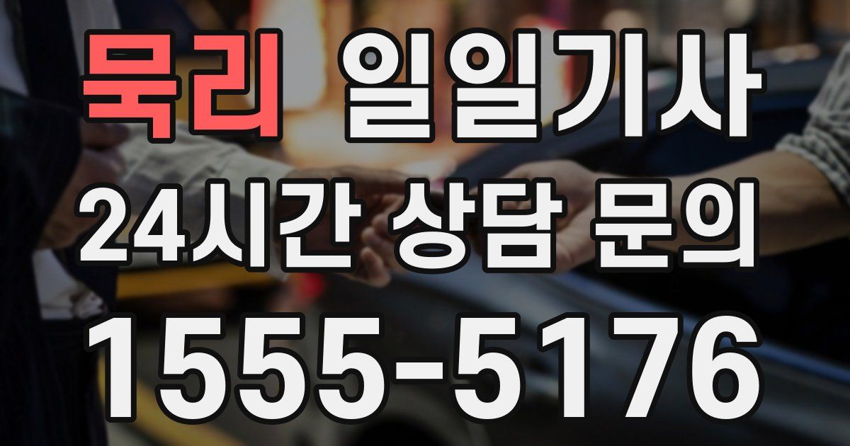 일일대리기사
