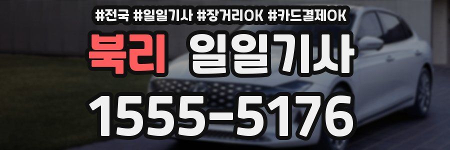 북리 일일기사