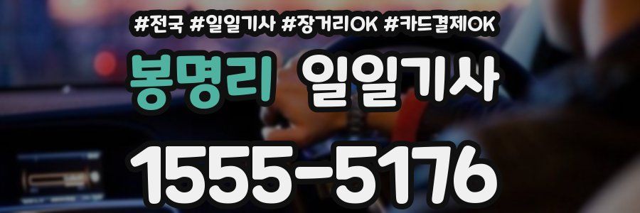 봉명리 일일기사