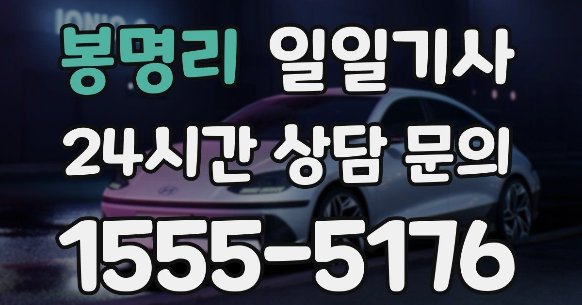 일일대리기사