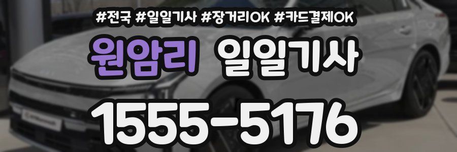 원암리 일일기사