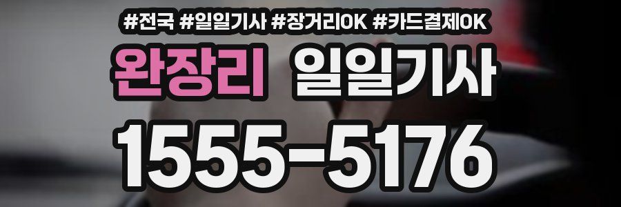 완장리 일일기사